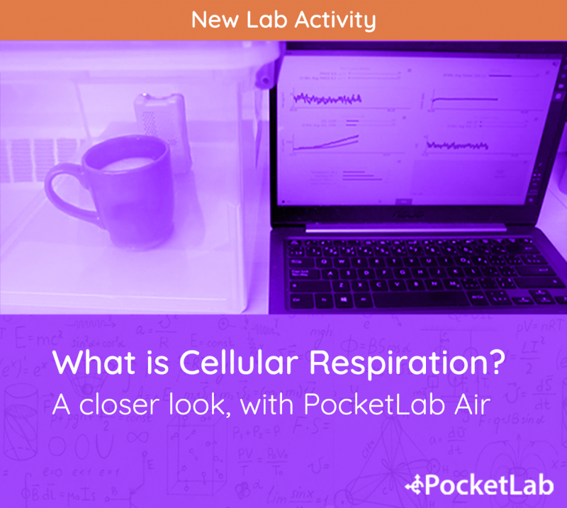 Coffee Cup, PocketLab Air, and a Laptop 