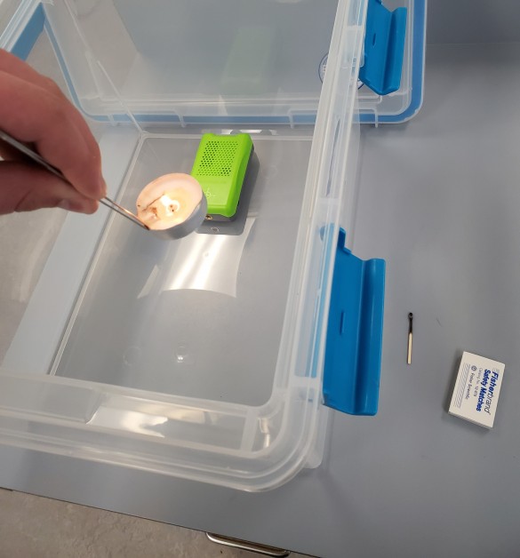 Lit candle being transferred into the container