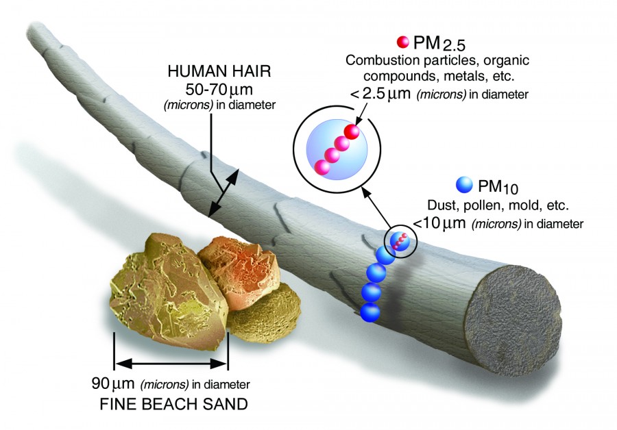 Figure 1. Size of PM2.5 and PM10 relative to a human hair and fine beach sand. (EPA)
