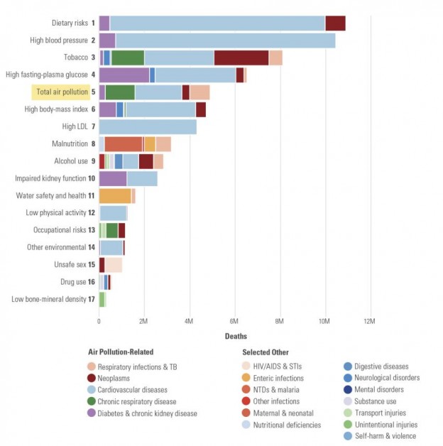 Figure 2. Global ranking of risk factor by the total number of death for all ages and both sexes as of 2017. (State of Global Air 2019)