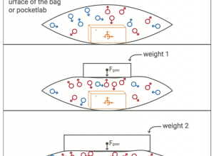 Measuring barometric pressure with PocketLab diagram