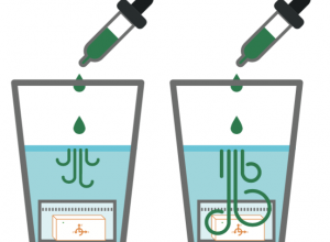 Food coloring in different temperature water baths - diagram