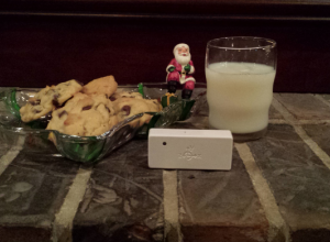 Cookies and milk for Santa