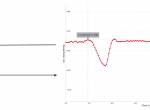 Match the Graph Example with PocketLab