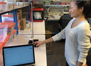 Harmonic motion graphs with audio feedback